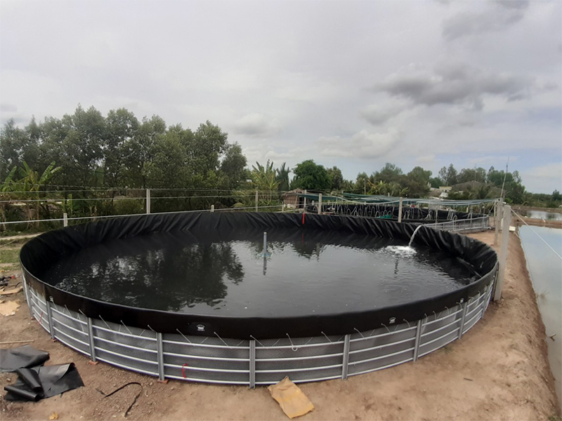 Bể Bạt Tròn HDPE và Khung Tôn Mạ Kẽm Nhúng Nóng Nuôi Cá Tầm