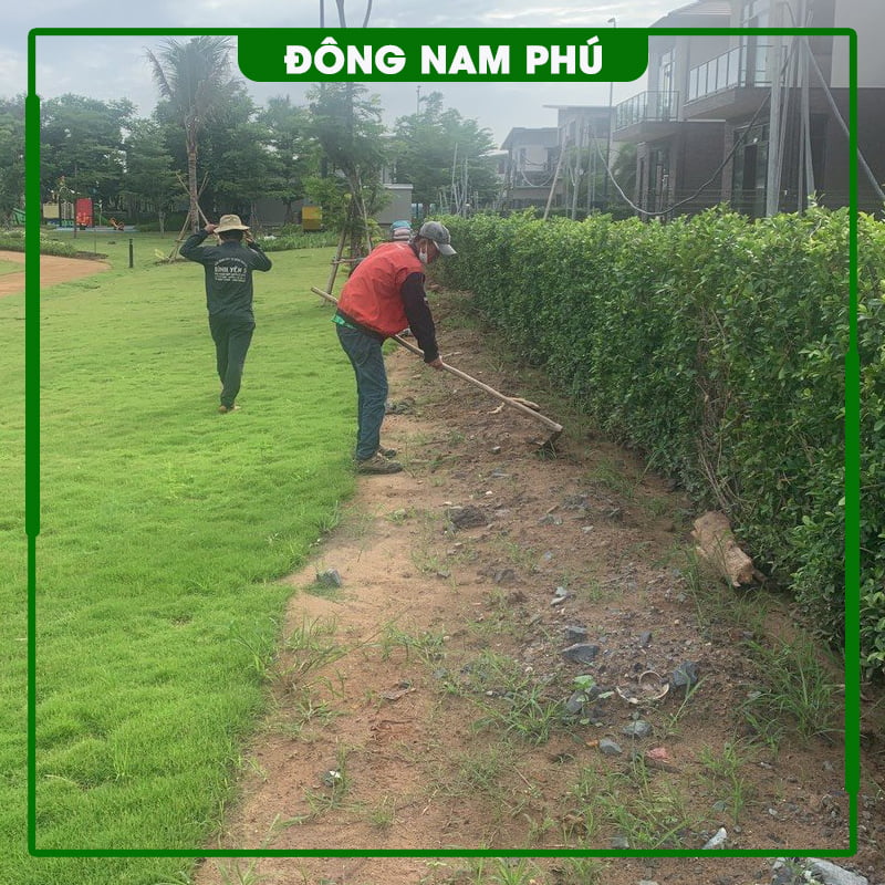 Thi công rọ đá KDC An Thạnh Long An ảnh 3
